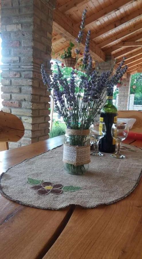 Rita Apartman & Studio Zrenjanin Exterior foto